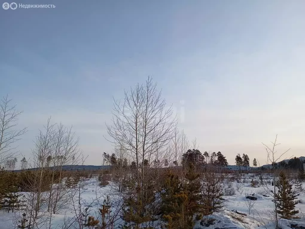 Участок в Читинский район, село Смоленка (7.68 м) - Фото 1