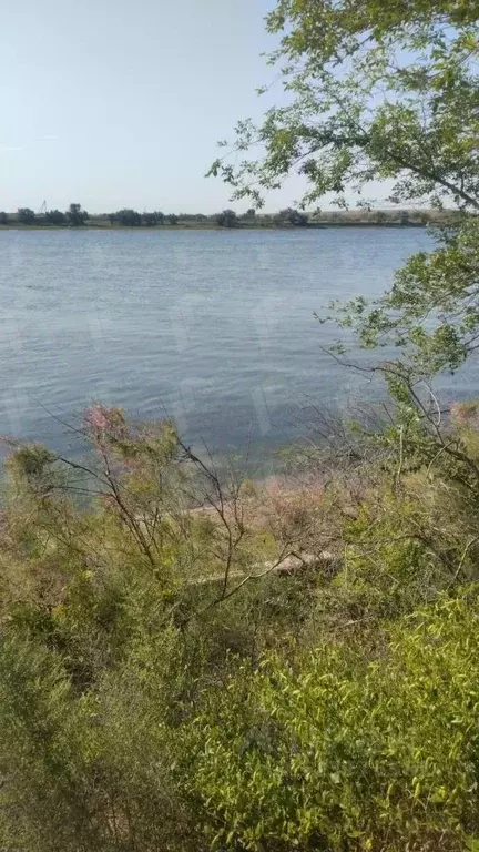 Дом в Астраханская область, Икрянинский район, пос. Анатолия Зверева  ... - Фото 1