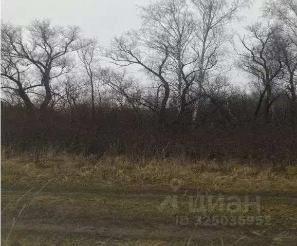 Участок в Московская область, Зарайск муниципальный округ, д. ... - Фото 1