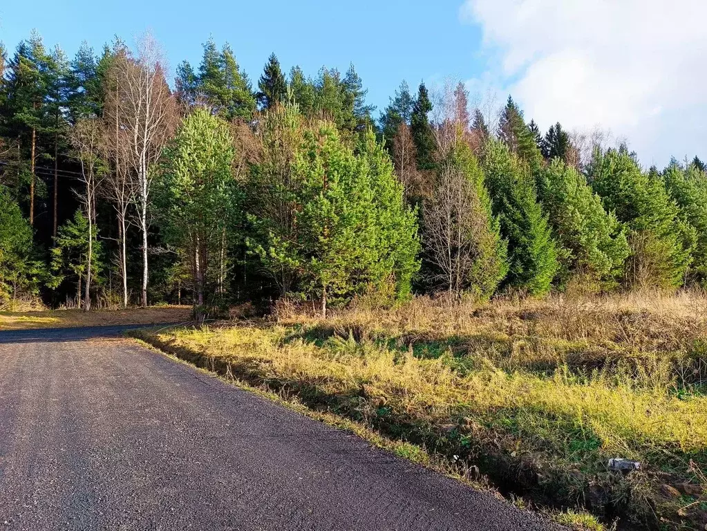 Участок в Московская область, Клин городской округ, Решетниково рп, ... - Фото 1