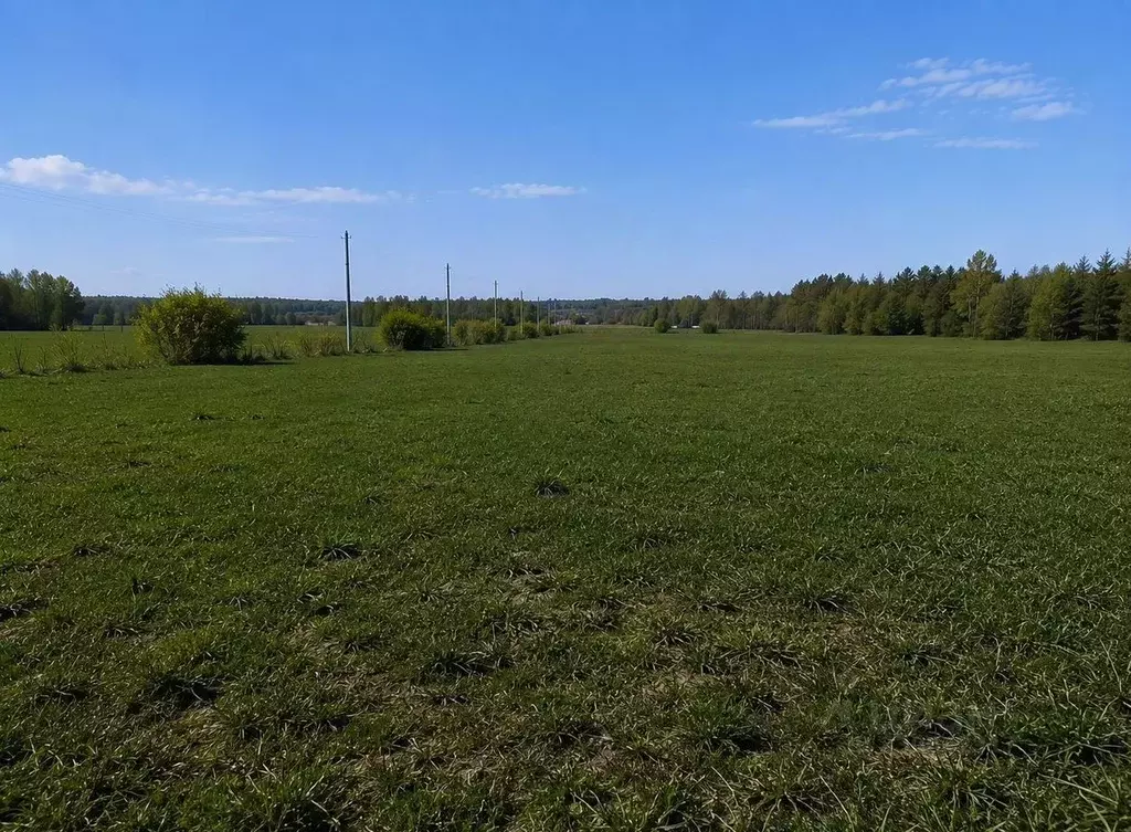 Участок в Московская область, Орехово-Зуевский городской округ, Дачная ... - Фото 1