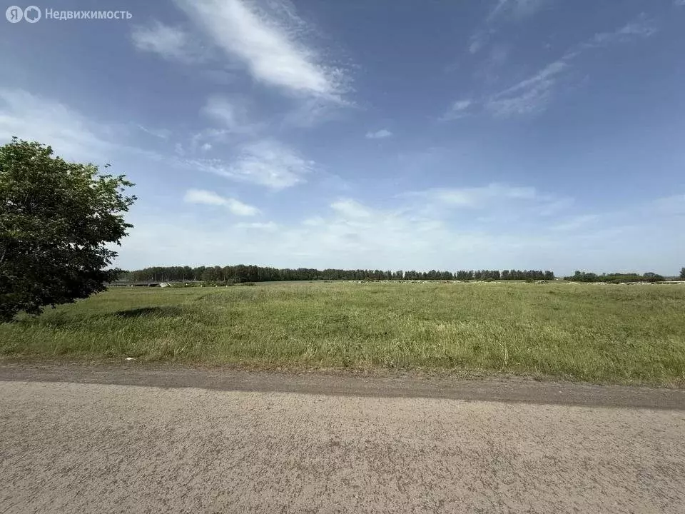 Участок в село Козьмодемьяновская Криуша, улица Чичканова (250 м) - Фото 1