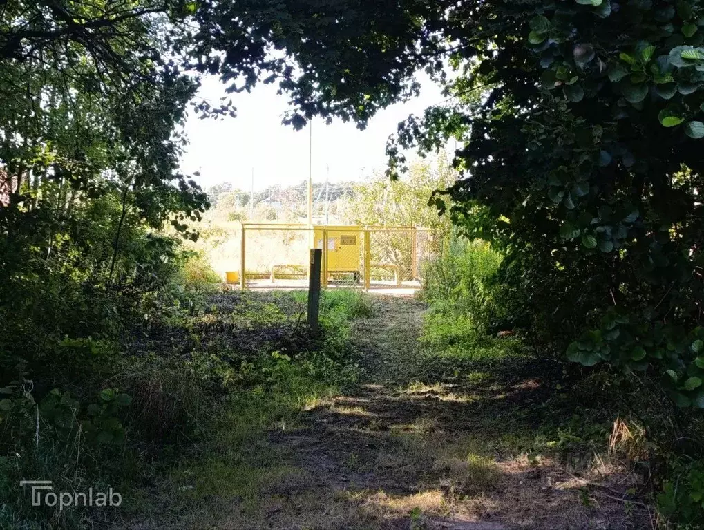 Участок в Калининградская область, Зеленоградский муниципальный округ, ... - Фото 1