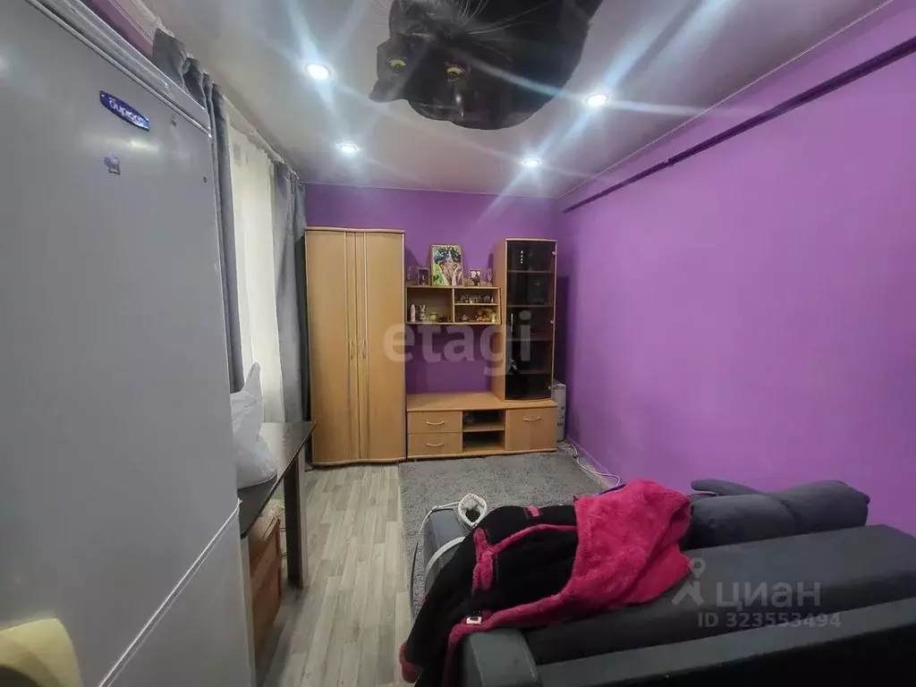 Студия Красноярский край, Красноярск бул. Солнечный, 11 (16.7 м) - Фото 0