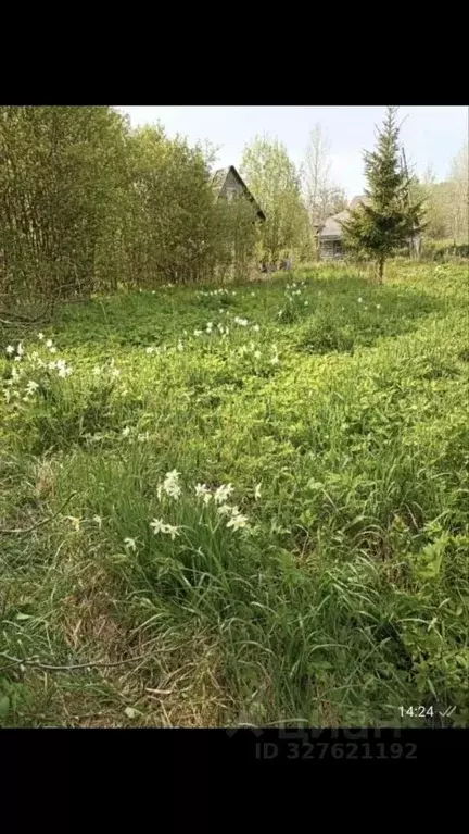 Участок в Ленинградская область, Волховский район, Кисельнинское ... - Фото 2
