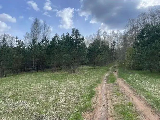 Участок в Новгородская область, Крестецкий муниципальный округ, д. ... - Фото 0