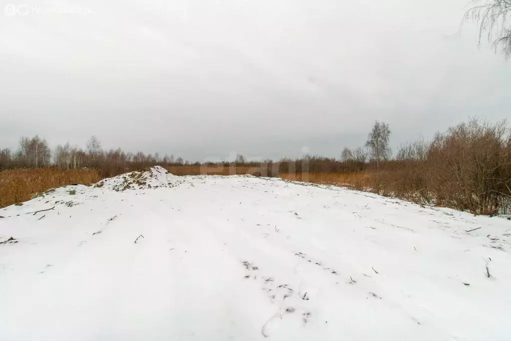 Участок в Тюмень, садовое товарищество Поле Чудес, Кедровый переулок ... - Фото 1