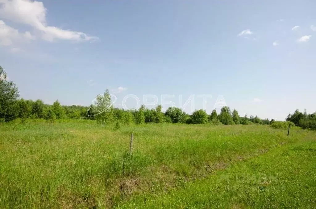 Участок в Тюменская область, Тюменский муниципальный округ, с. Княжево ... - Фото 2