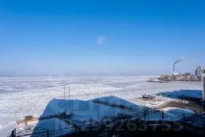 3-к кв. Приморский край, Владивосток Набережная ул., 5В (90.0 м) - Фото 1