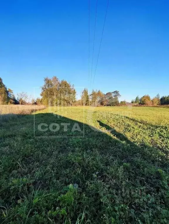 Участок в Воронежская область, Павловский район, Покровское с/пос, ... - Фото 1