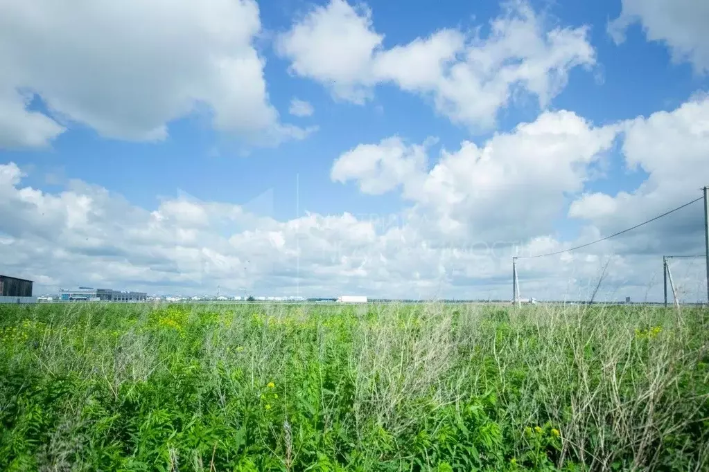 Участок в Тюменская область, Тюменский муниципальный округ, д. Ушакова ... - Фото 1