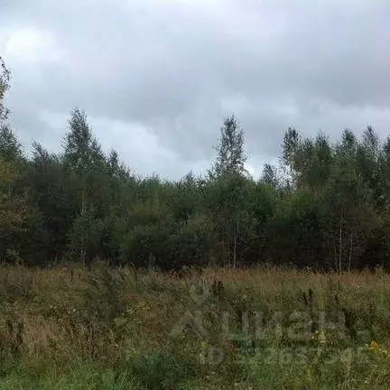 Участок в Нижегородская область, Богородский муниципальный округ, д. ... - Фото 1