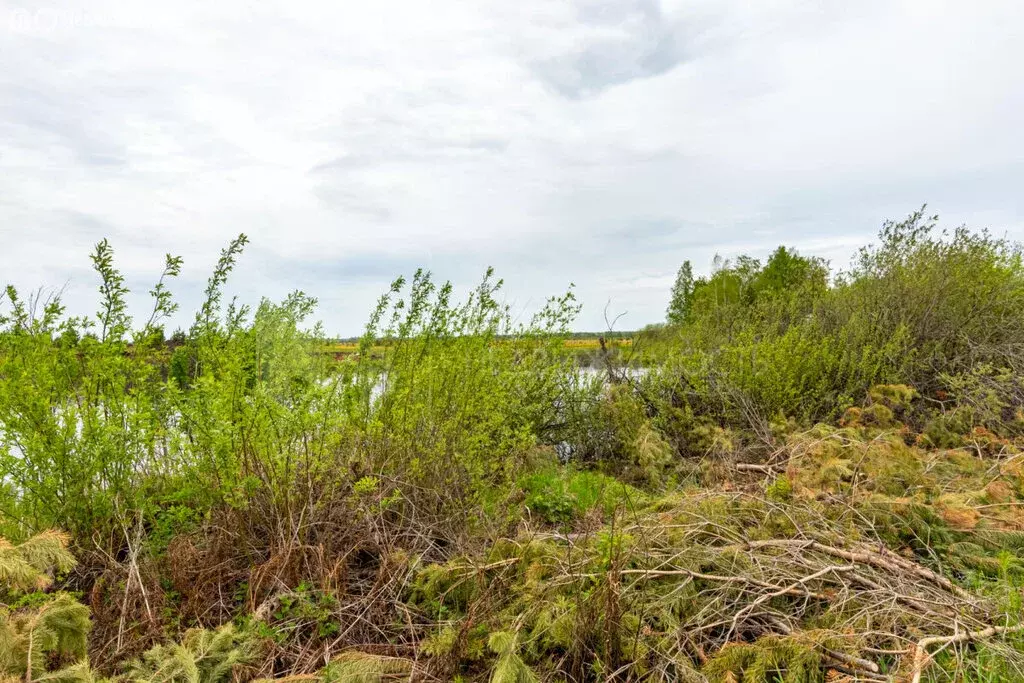 Участок в Тюменский муниципальный округ, деревня Елань, Васильковая ... - Фото 1