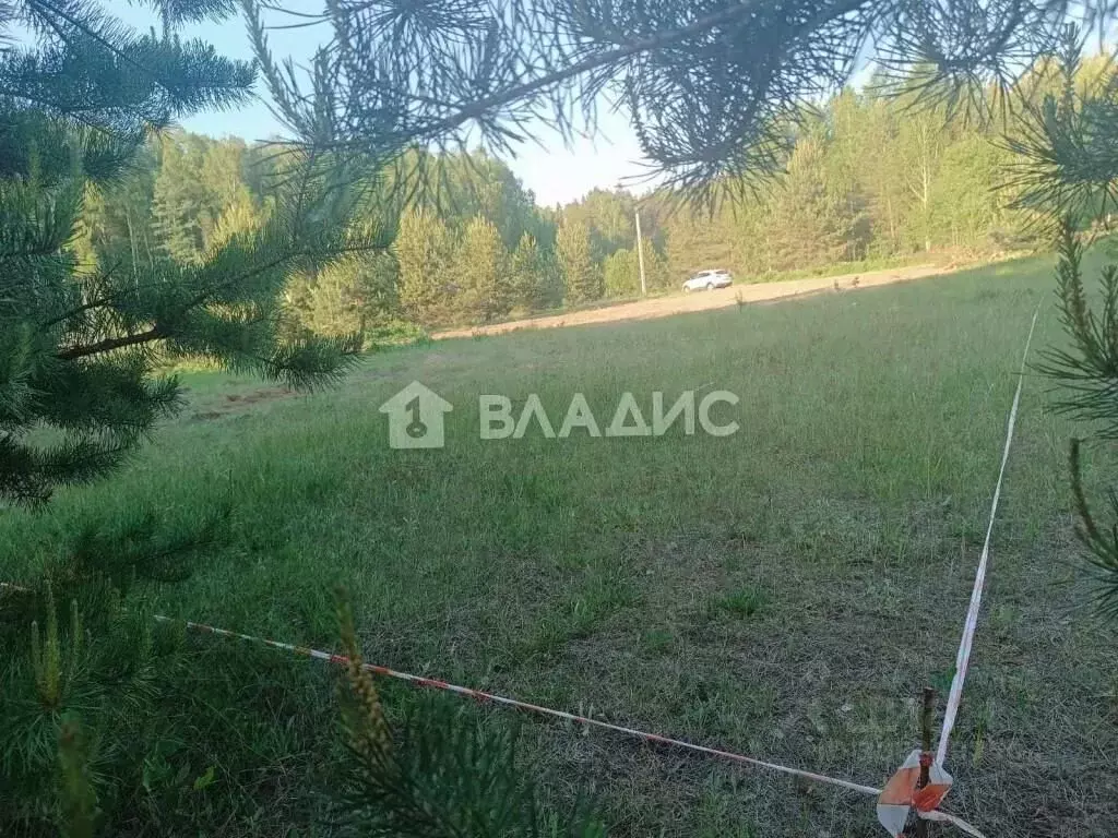 Участок в Владимирская область, Судогодский район, Лавровское ... - Фото 0