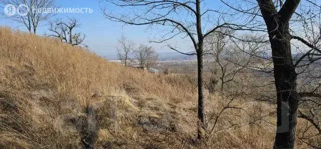 Участок в Артём, улица Котовского (10 м) - Фото 0