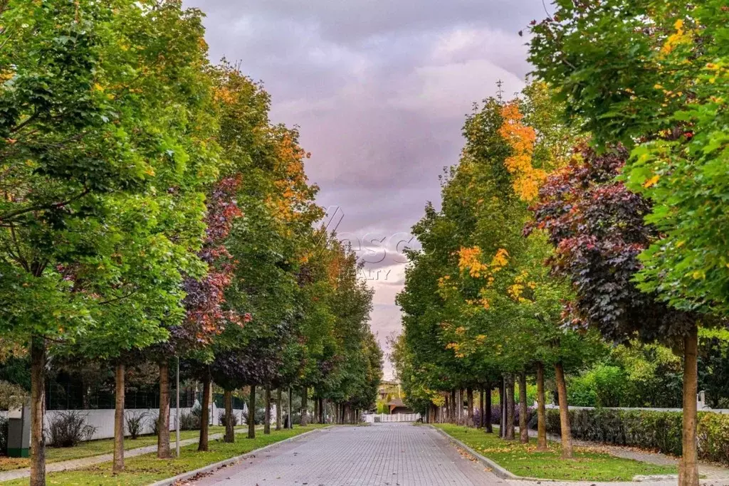 Участок в Московская область, Истра муниципальный округ, д. Чесноково ... - Фото 2