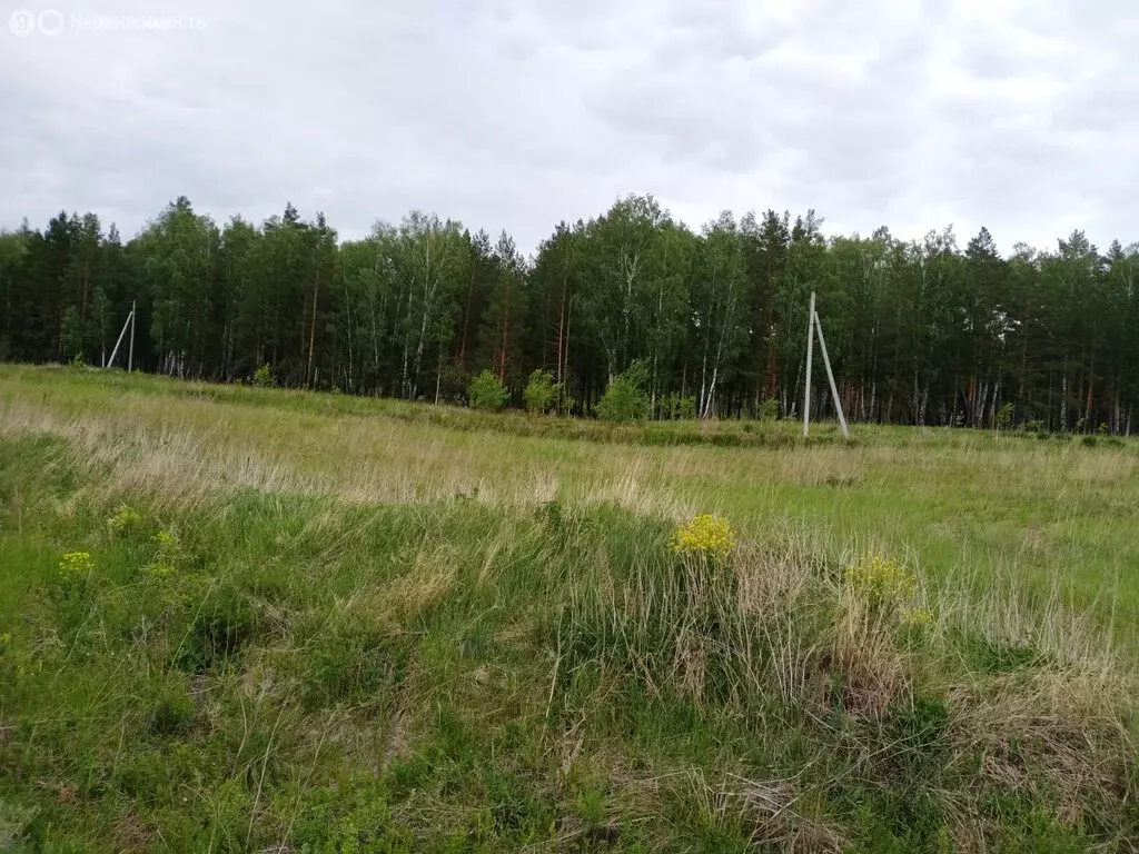 Участок в Екатеринбург, ДНТ Зелёные Просторы (691 м) - Фото 1