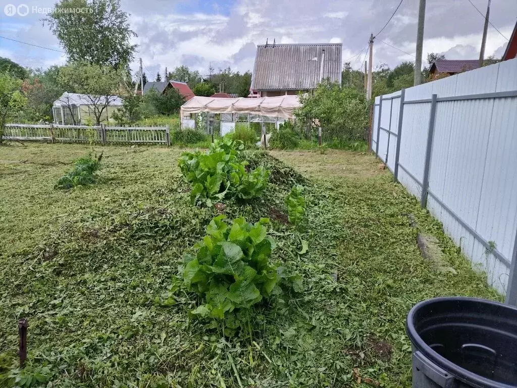 Дом в деревня Новая Мельница, Новгородская улица (25 м) - Фото 1