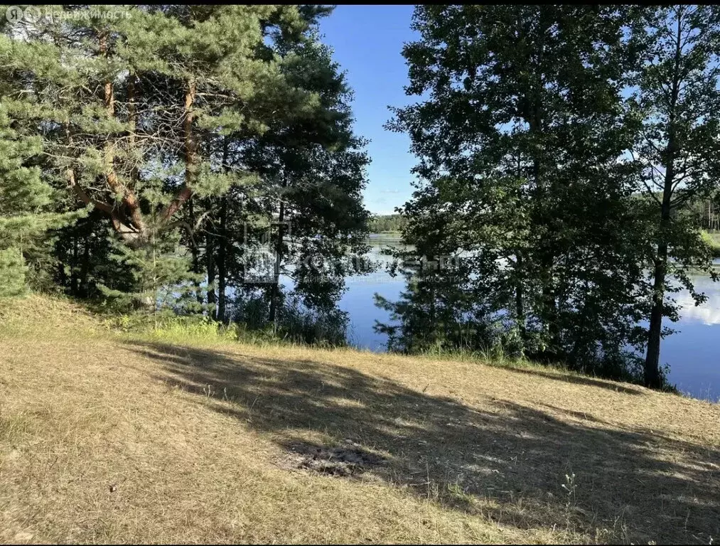 Участок в Владимирская область, Селивановский муниципальный округ, ... - Фото 2