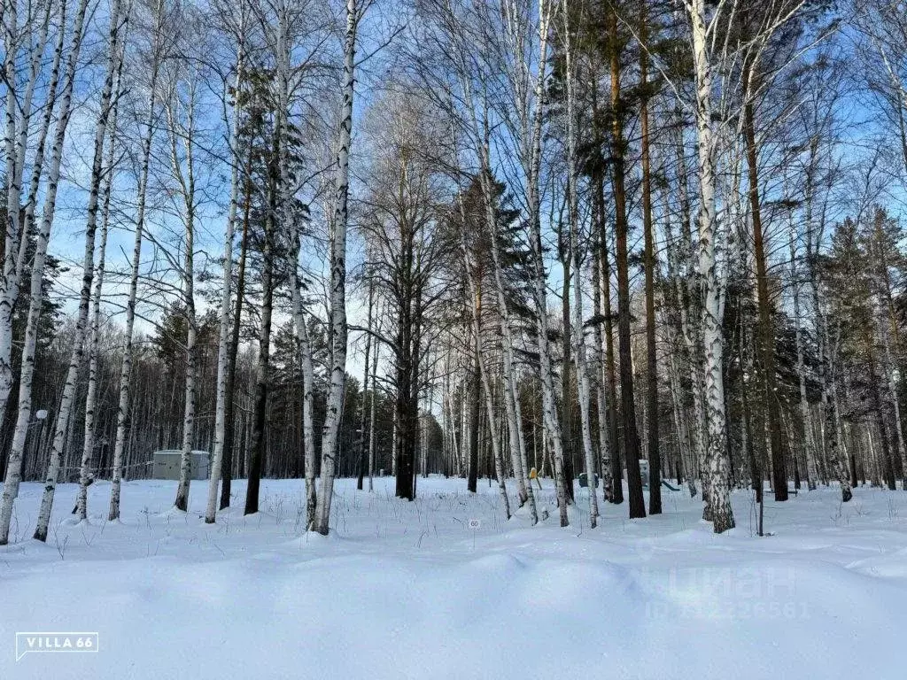 Участок в Свердловская область, Сысертский городской округ, пос. ... - Фото 0