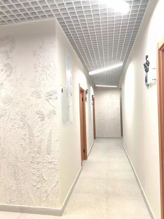 Офис в Татарстан, Казань ул. Адоратского, 8Б (20 м) - Фото 2