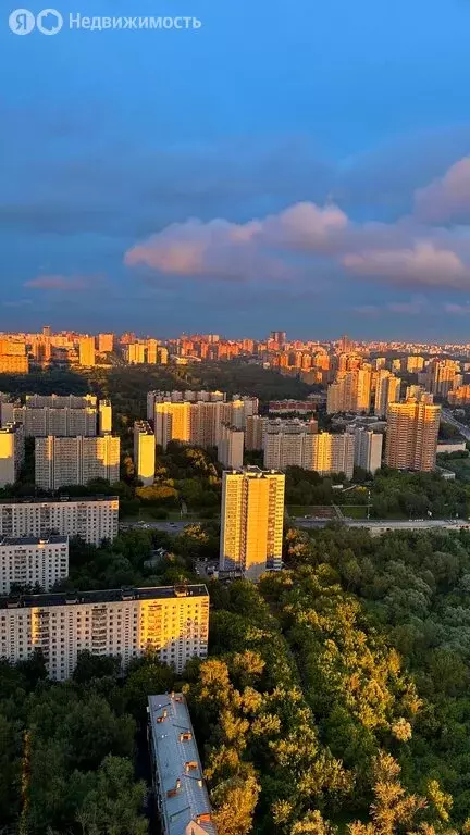 3-комнатная квартира: Москва, Мичуринский проспект, 56 (78 м) - Фото 1
