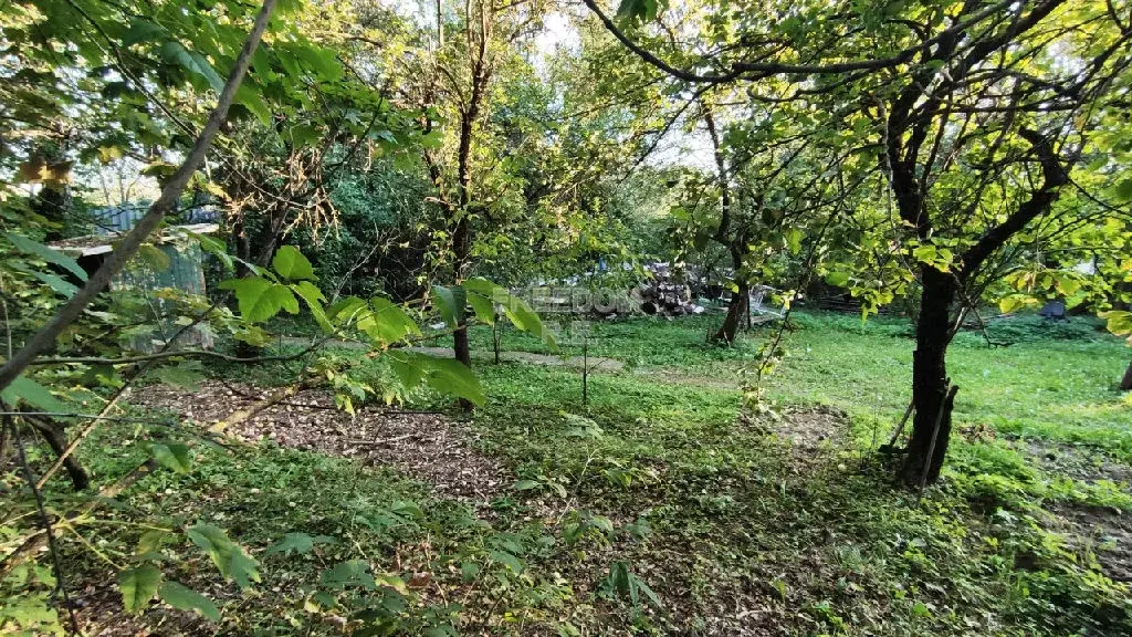 Продается участок в СНТ Садовод-1 - Фото 1