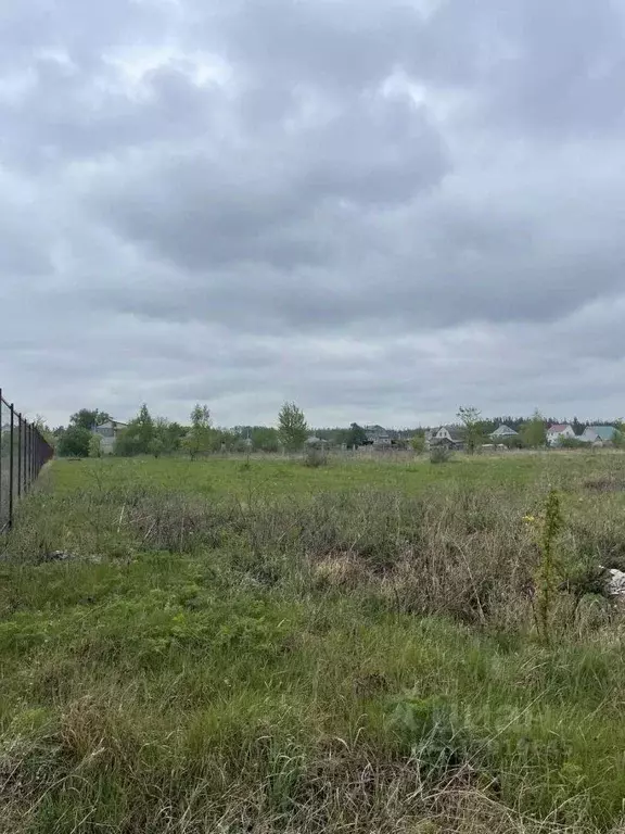 Участок в Воронежская область, с. Новая Усмань  (4.96 сот.) - Фото 1
