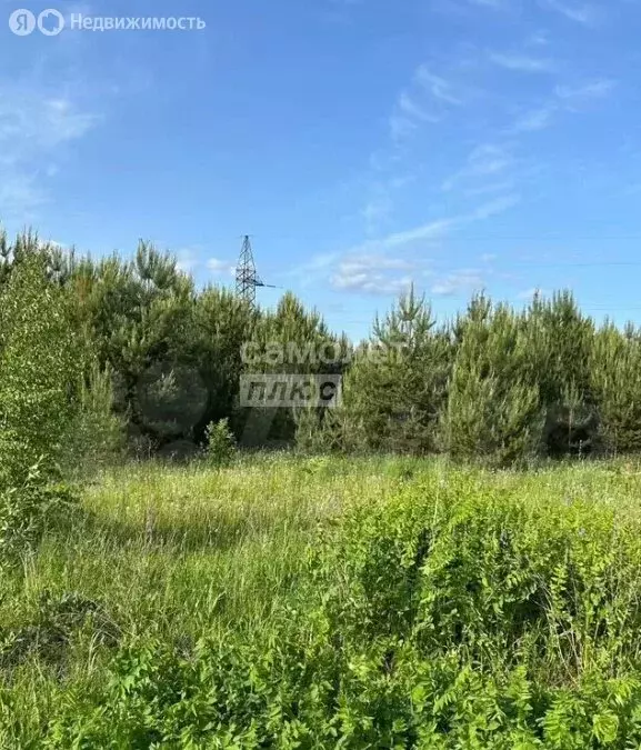 Участок в Пасеговское сельское поселение, деревня Глушонки (85.06 м) - Фото 1