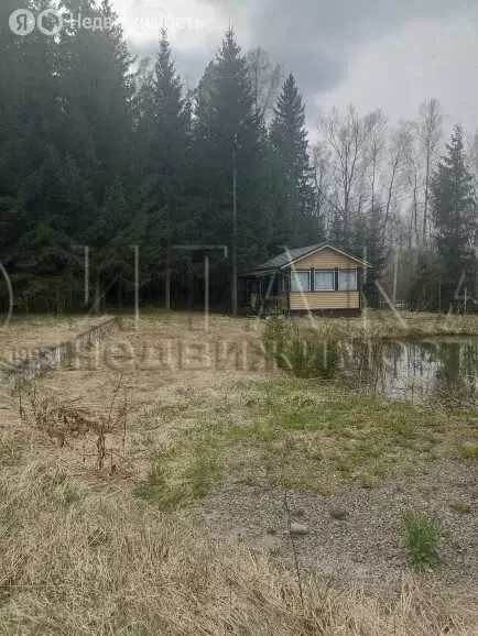 Дом в Нурминское сельское поселение, садоводческий массив Нечеперть, ... - Фото 1