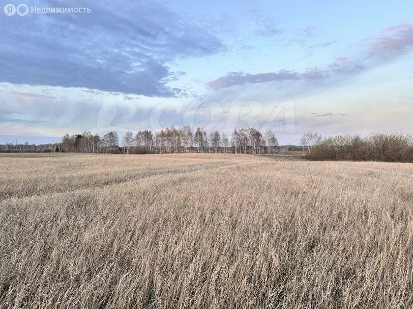 Участок в Тюменский район, деревня Елань (8 м) - Фото 0