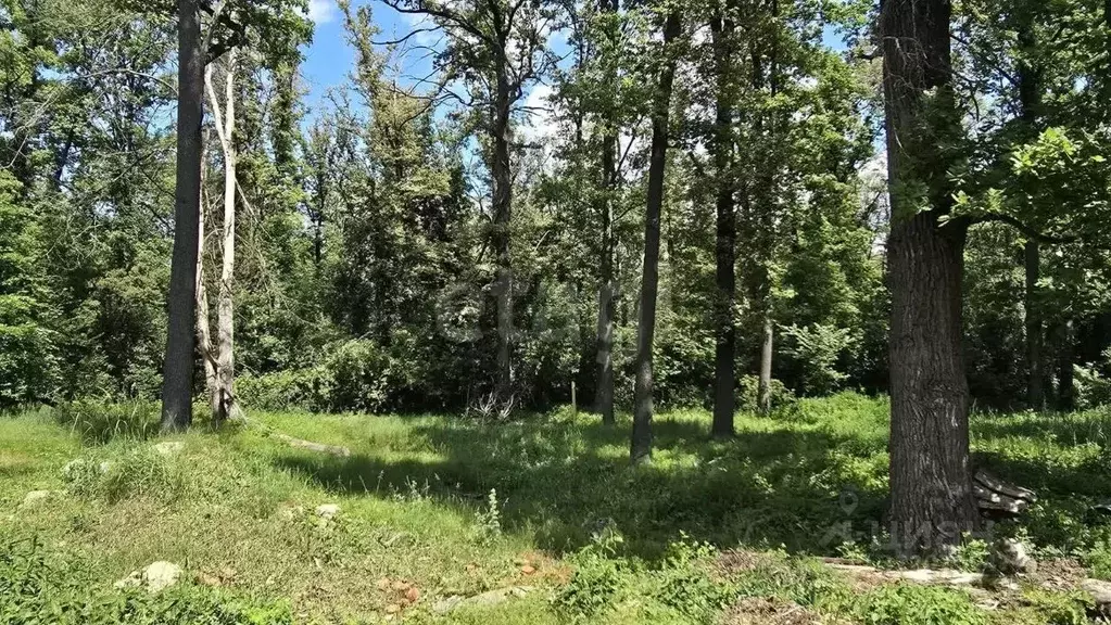 Помещение свободного назначения в Тамбовская область, Тамбовский ... - Фото 2