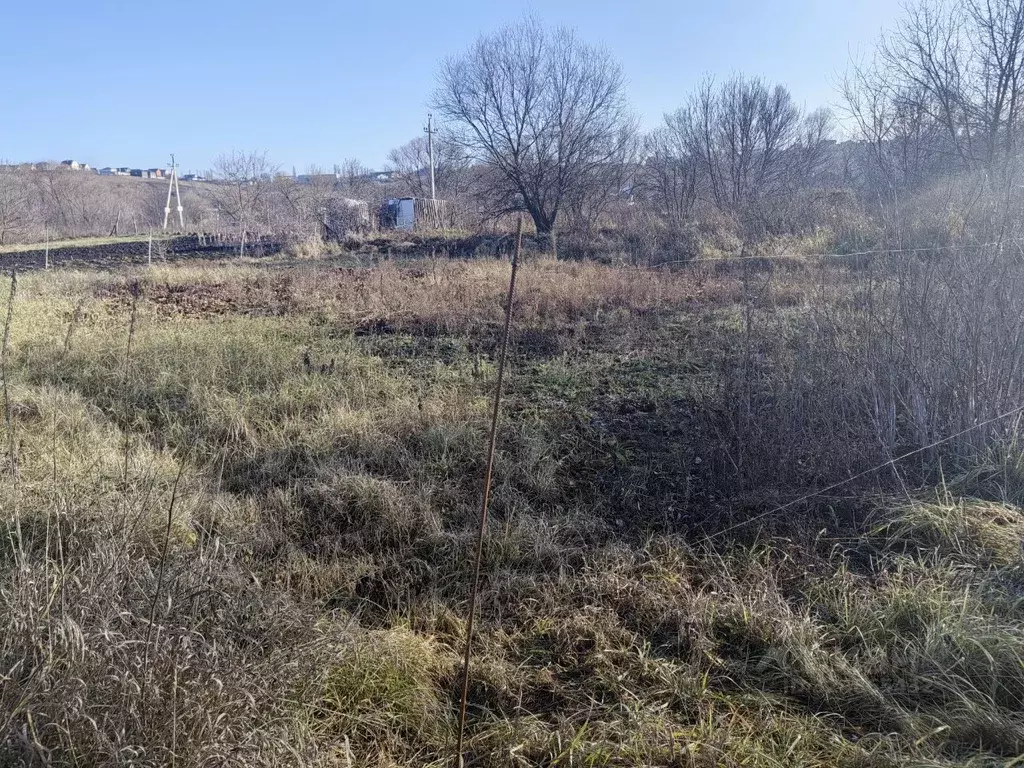 Участок в Воронежская область, Семилукское с/пос, с. Ендовище ул. ... - Фото 1