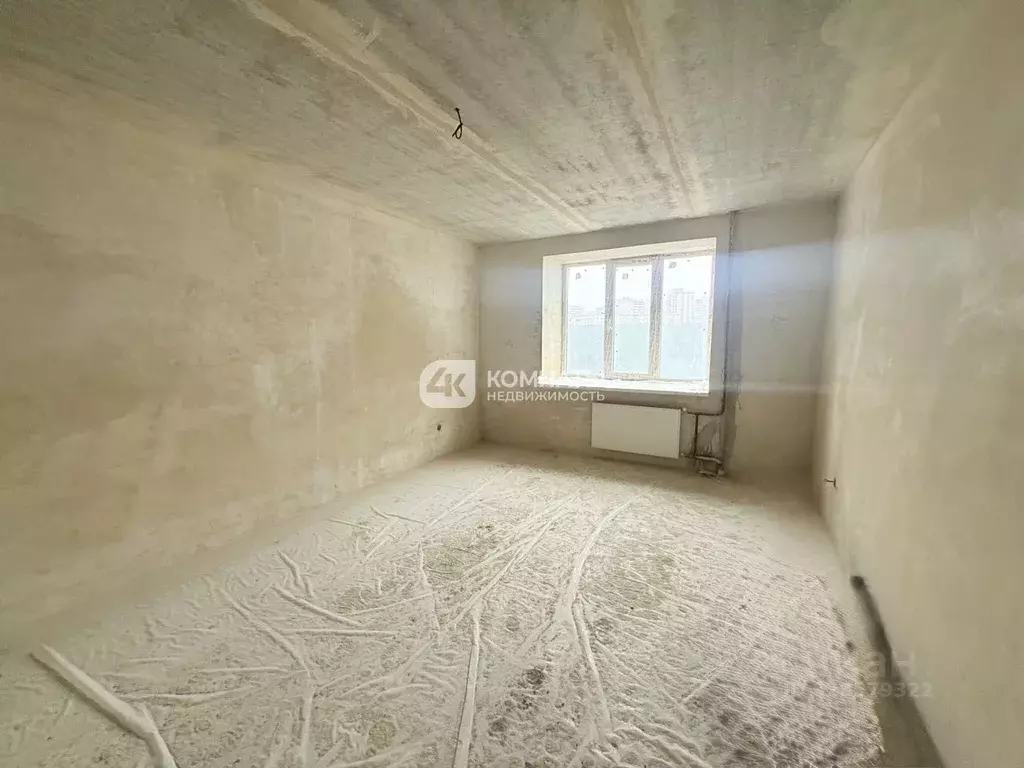 1-к кв. Воронежская область, Воронеж ул. Антонова-Овсеенко, 29 (41.0 ... - Фото 1