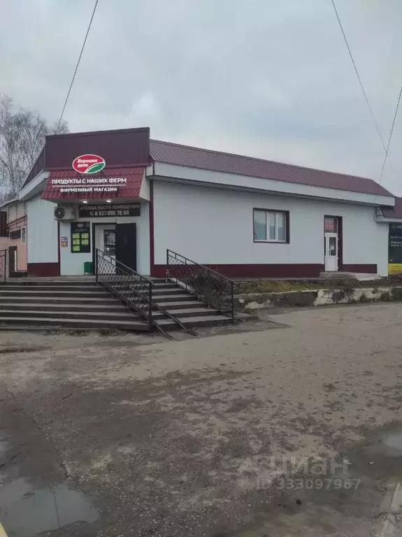 Торговая площадь в Пензенская область, Лунино рп ул. Кооперативная, ... - Фото 1