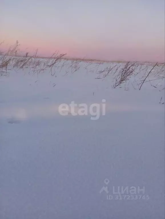 Участок в Иркутская область, Иркутск  (6.1 сот.) - Фото 0