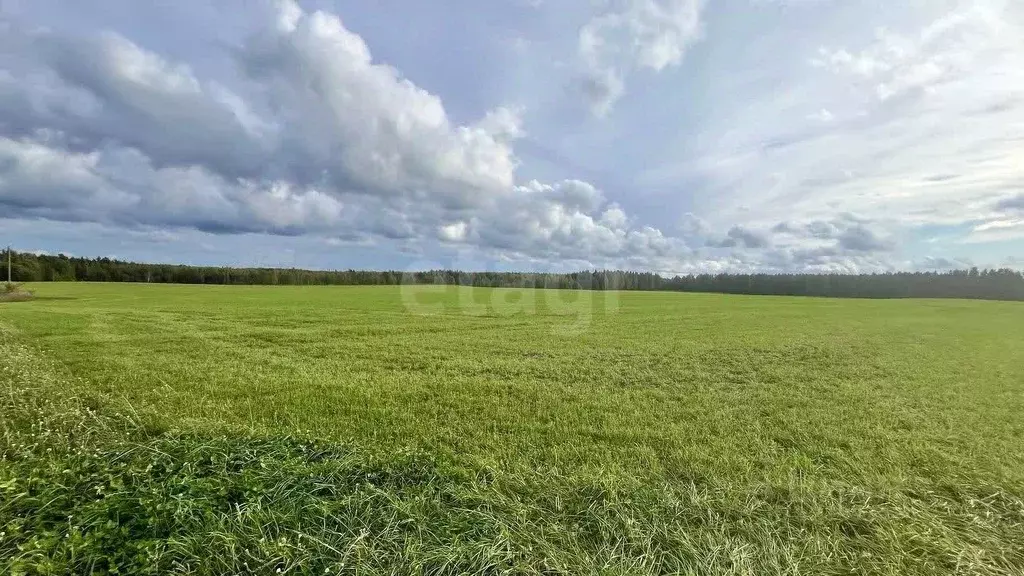 Участок в Ленинградская область, Киришский район, Будогощское ... - Фото 1