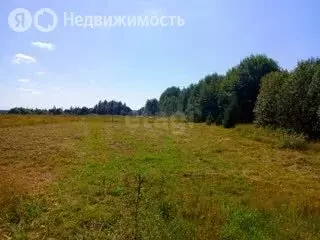 Участок в Вологодская область, Великоустюгский муниципальный округ, ... - Фото 1