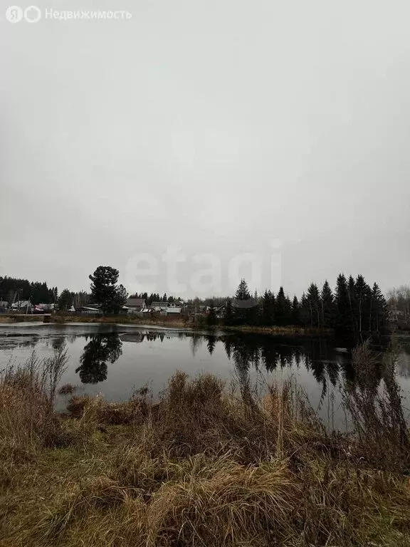 Участок в Пермский край, Краснокамский муниципальный округ, СТ ... - Фото 2