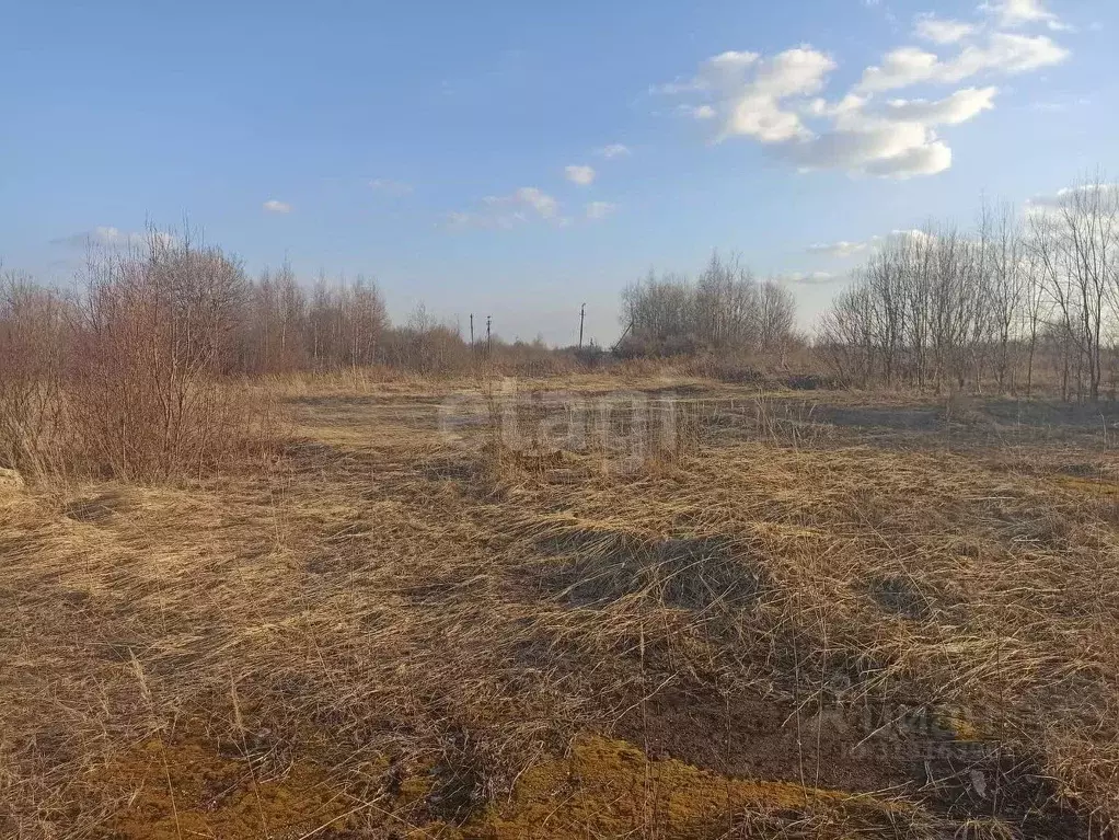 Участок в Костромская область, Красное-на-Волге пгт, пос. Птицефабрика ... - Фото 1