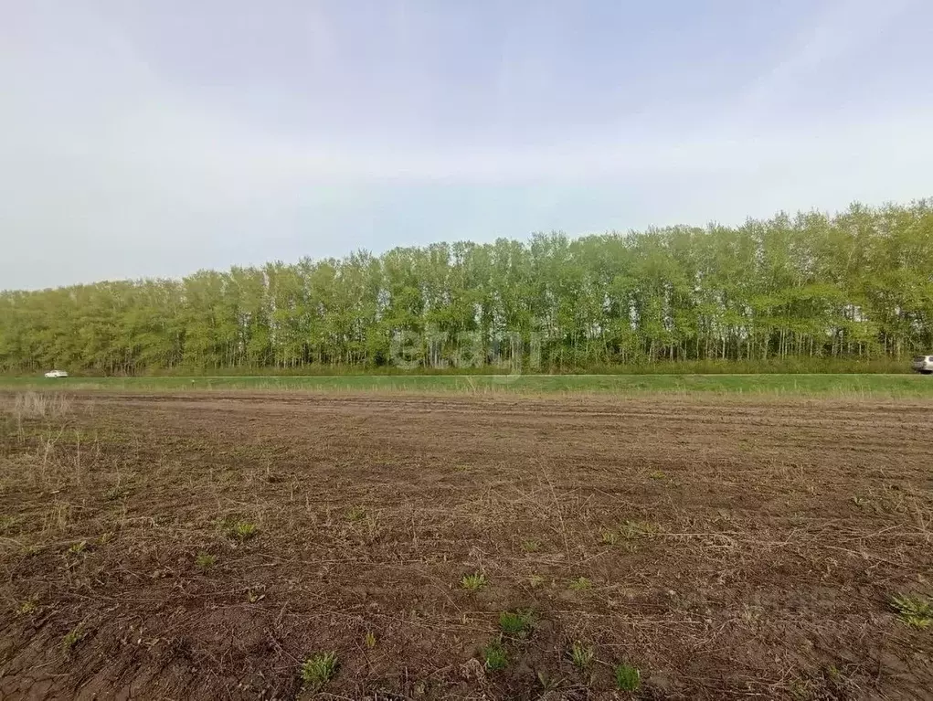 Участок в Башкортостан, Стерлитамакский район, Казадаевский сельсовет, ... - Фото 1