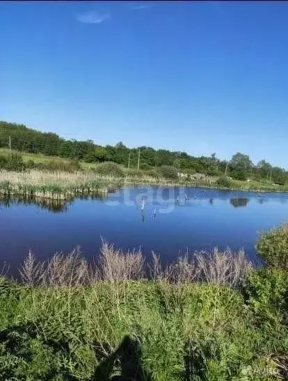 Участок в Башкортостан, Уфимский район, с. Дмитриевка Трактовая ул. ... - Фото 1