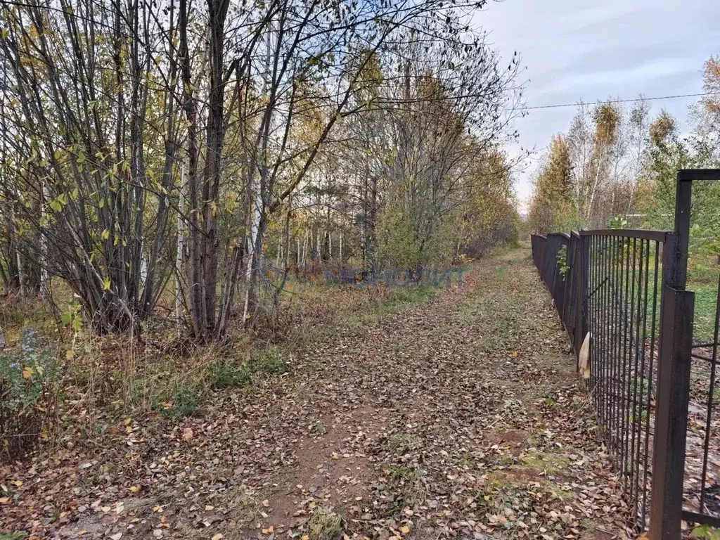 Участок в Нижегородская область, Кстовский муниципальный округ, с. ... - Фото 0