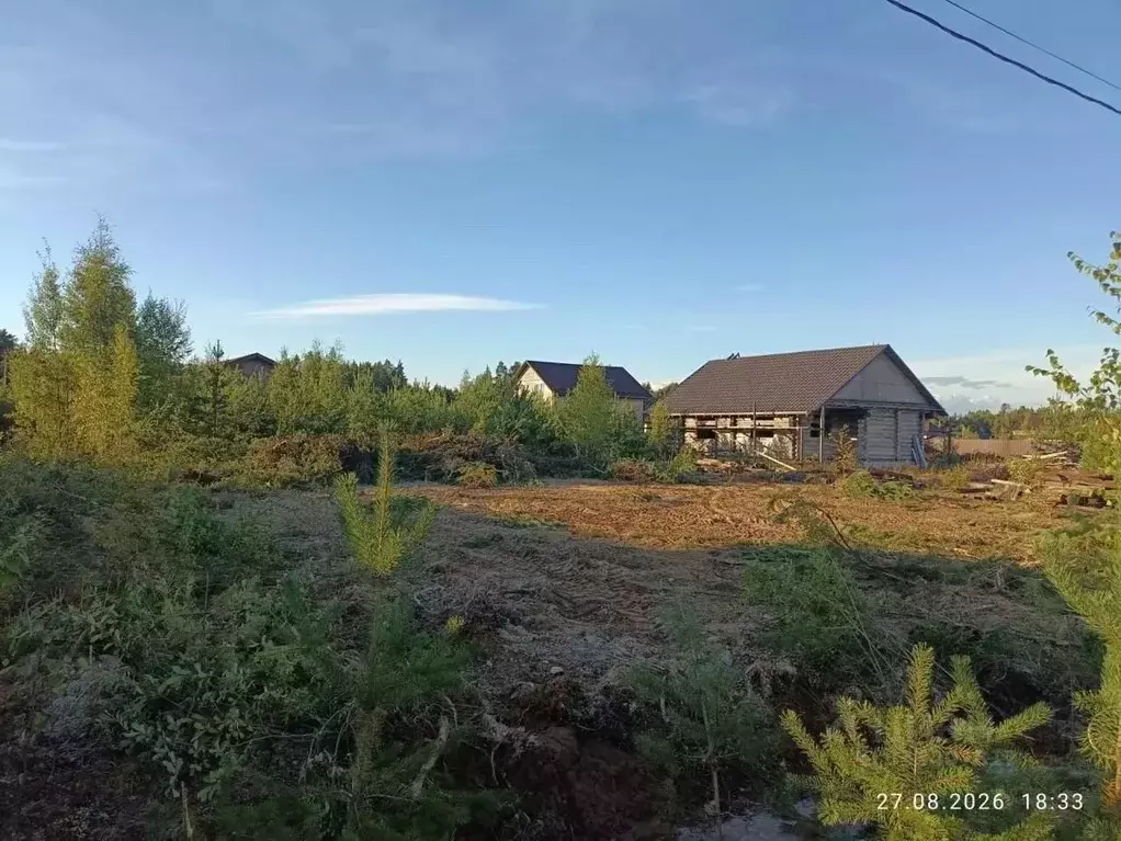 Участок в Ленинградская область, Сосновый Бор Смольнеское СНТ, 71 ... - Фото 1
