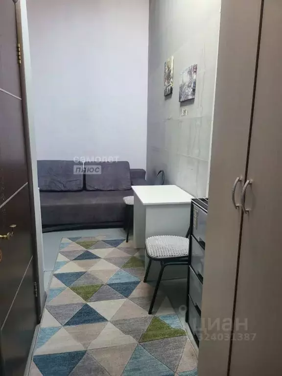 Студия Московская область, Подольск городской округ, д. Бородино ш. ... - Фото 2