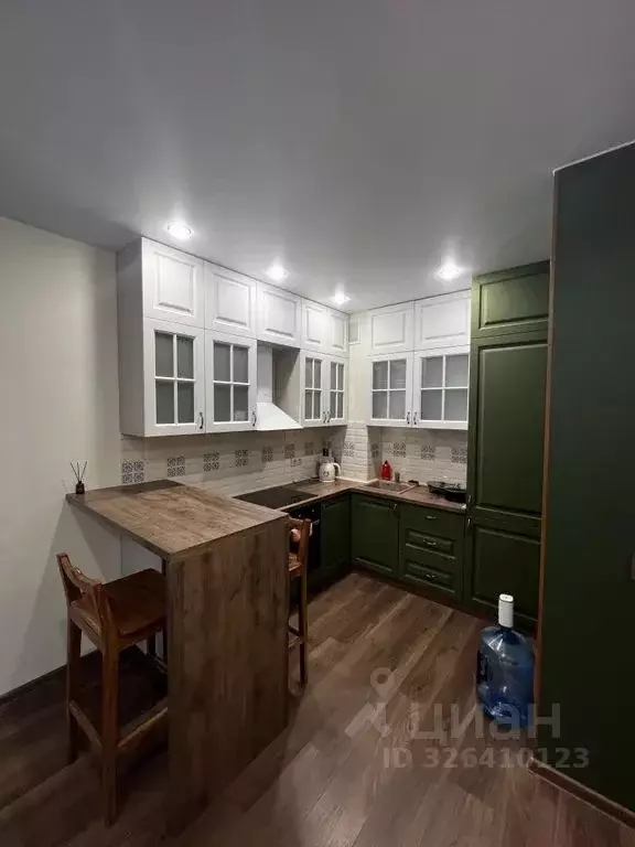 1-к кв. Псковская область, Псковский район, Писковичская волость, д. ... - Фото 2