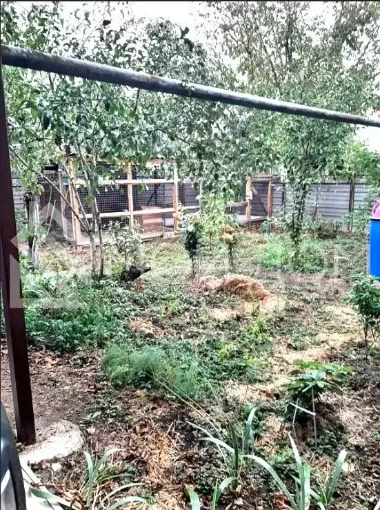 Дом в Краснодарский край, Белореченский район, Родниковское с/пос, ... - Фото 2