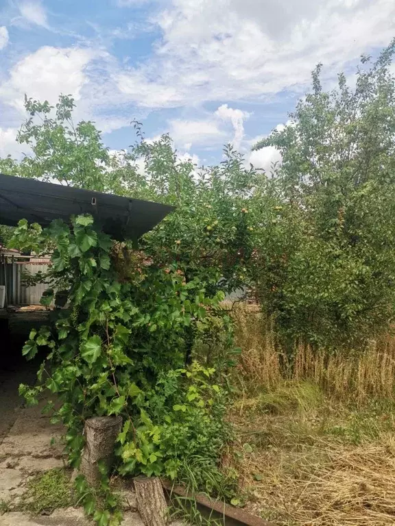 Дом в Ростовская область, Новочеркасск Дальняя ул., 50 (93 м) - Фото 1