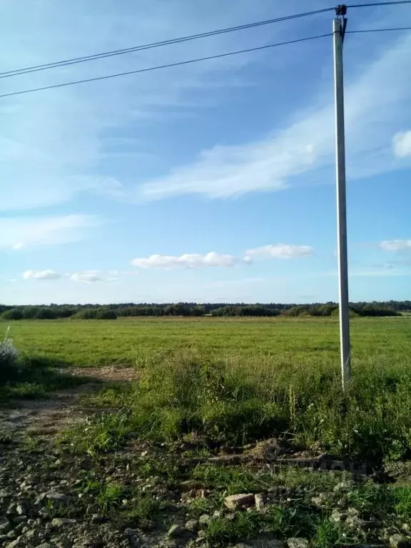 Участок в Новгородская область, Новгородский район, Бронницкое с/пос, ... - Фото 1
