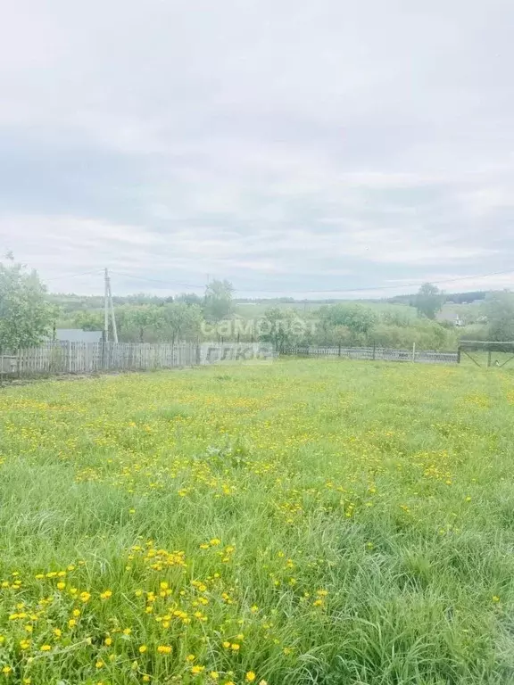 Участок в Башкортостан, Иглинский район, Калтымановский сельсовет, с. ... - Фото 2